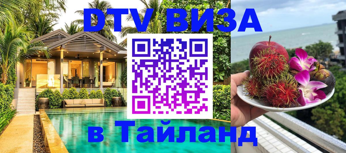 Оформление DTV визы под ключ: стоимость и тарифы, только загранпаспорт - Махачкала  20.11.2025 